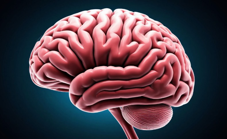 Ольга Алексина объяснила, как перезагрузить мозг на работе дыханием заземлением